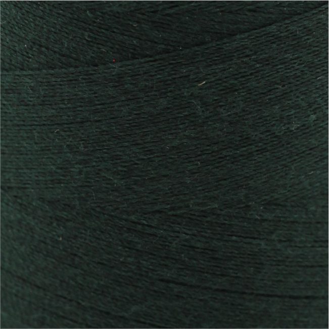 3004